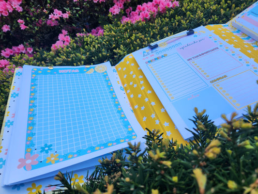 PLANNER DE ORGANIZACION