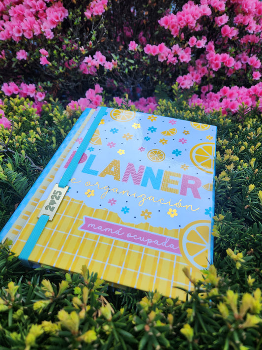 PLANNER DE ORGANIZACION